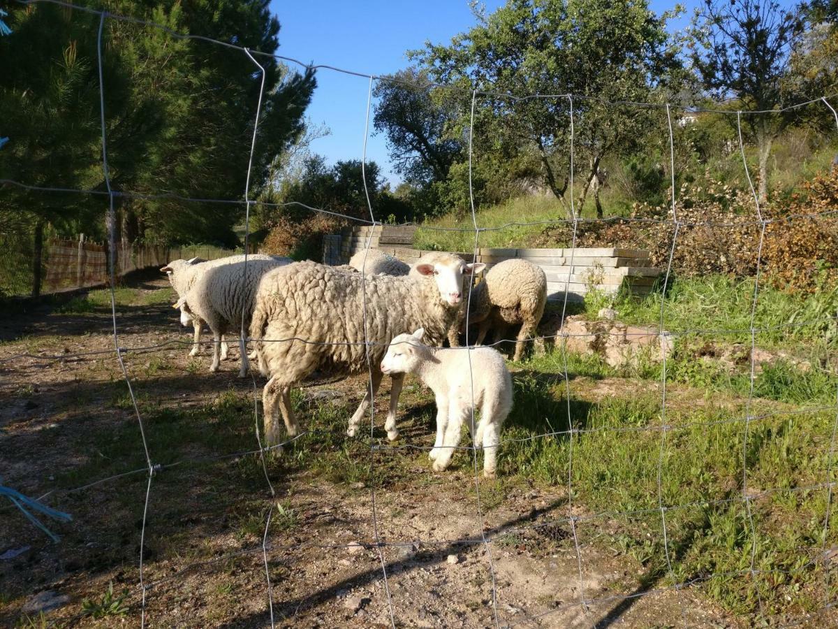 Quinta Da Abrunheira - Gustavo Eiffel Vendégház Ciborro Kültér fotó