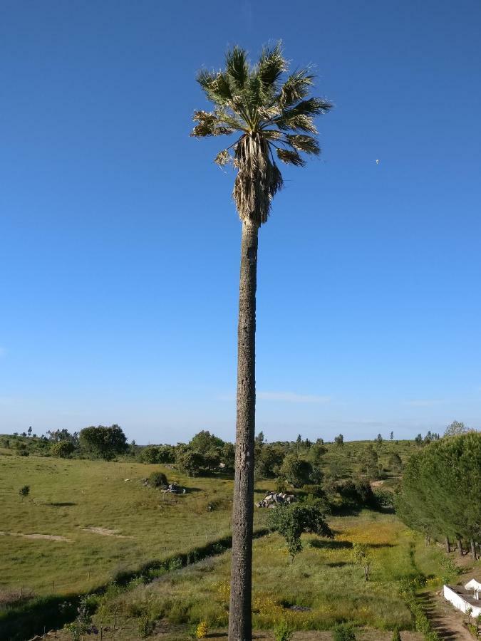 Quinta Da Abrunheira - Gustavo Eiffel Vendégház Ciborro Kültér fotó