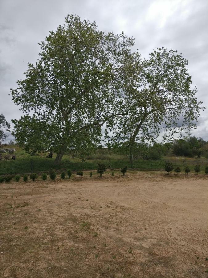 Quinta Da Abrunheira - Gustavo Eiffel Vendégház Ciborro Kültér fotó